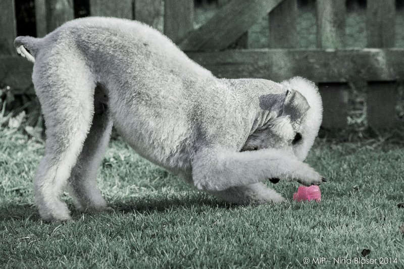 2014-03-14 Svet-8038-2.jpg